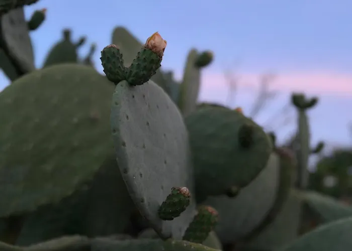 Дом отдыха A Casa Di Ro Рильево